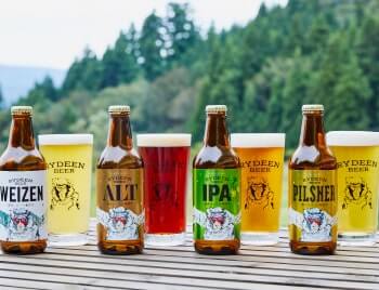 【9/13開催*クラフトビール＆ミュージックフェスのご案内】