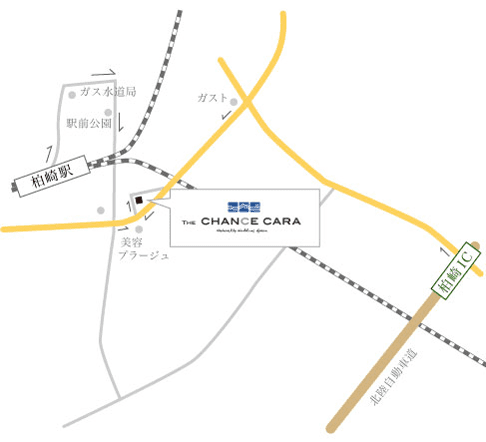 ACCESS MAP